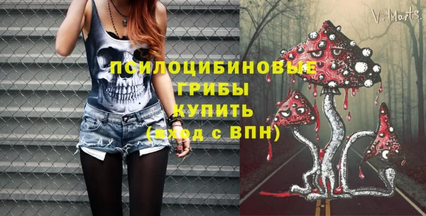 дмт Армянск