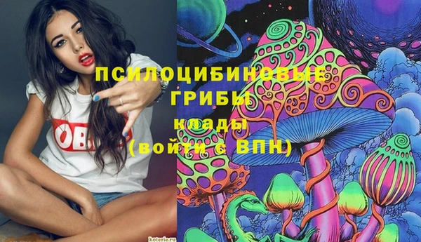 дмт Армянск