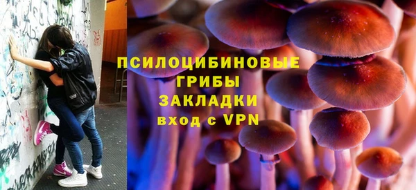 мяу мяу мука Аркадак