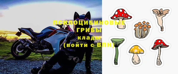 дмт Армянск