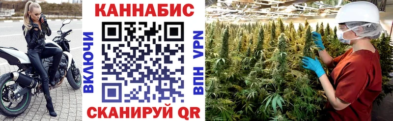 Шишки марихуана семена  Кологрив 
